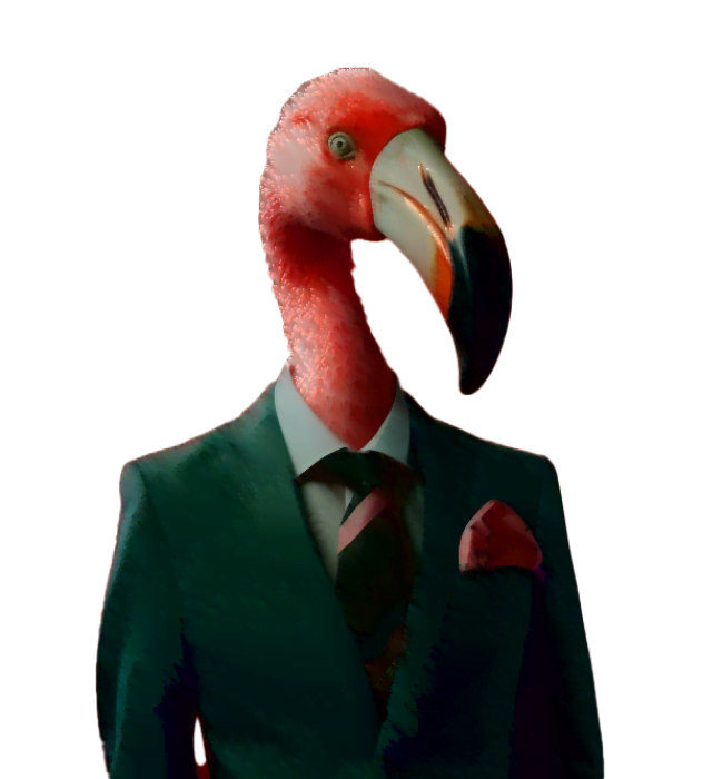 flamingo-traficmedia